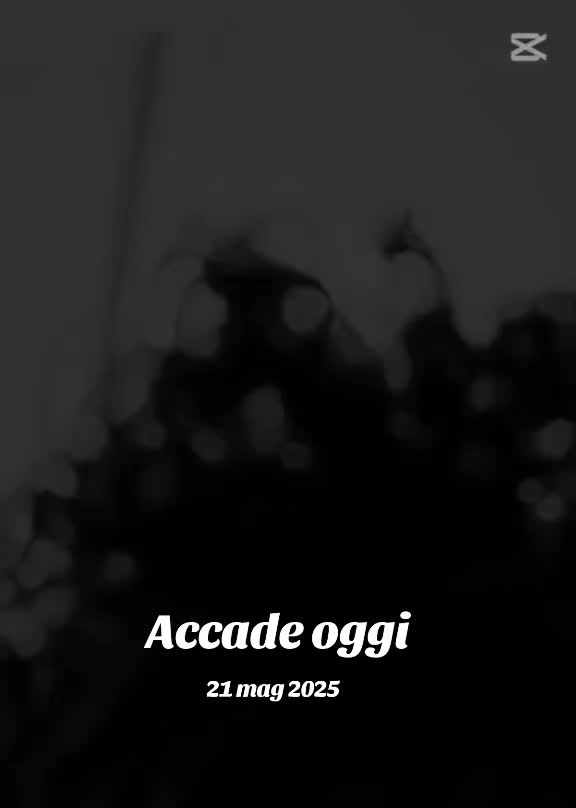 @barbarafondi73