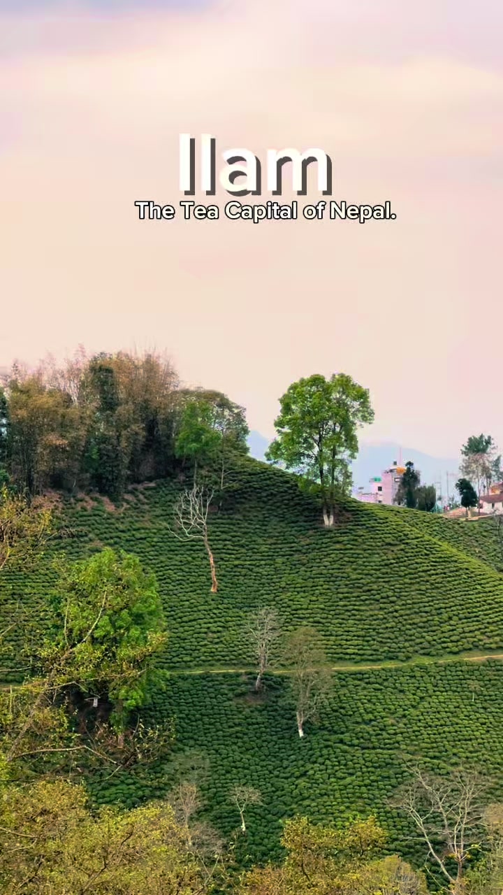 @Hari Gurung
