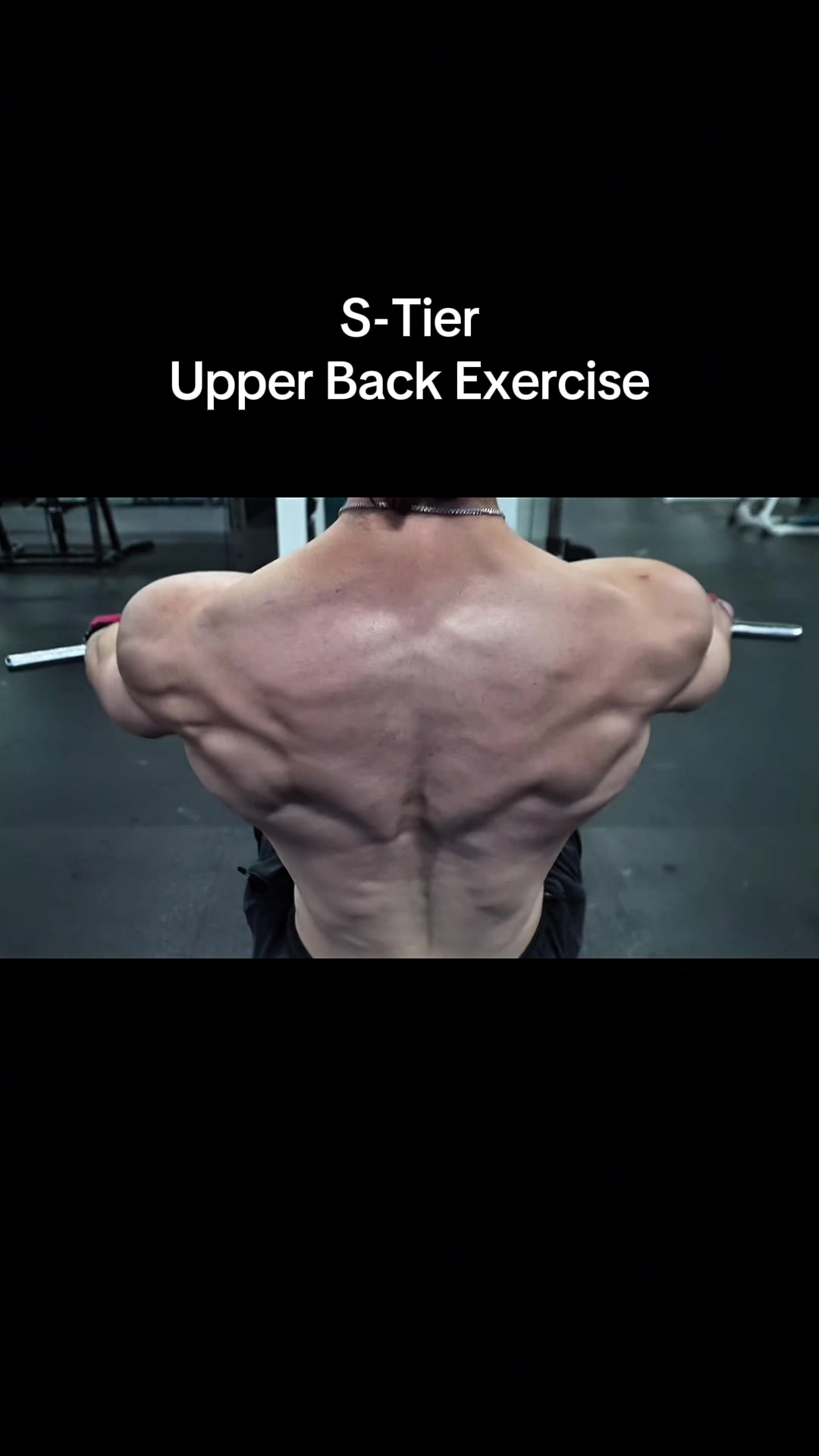 @mr.backzilla1