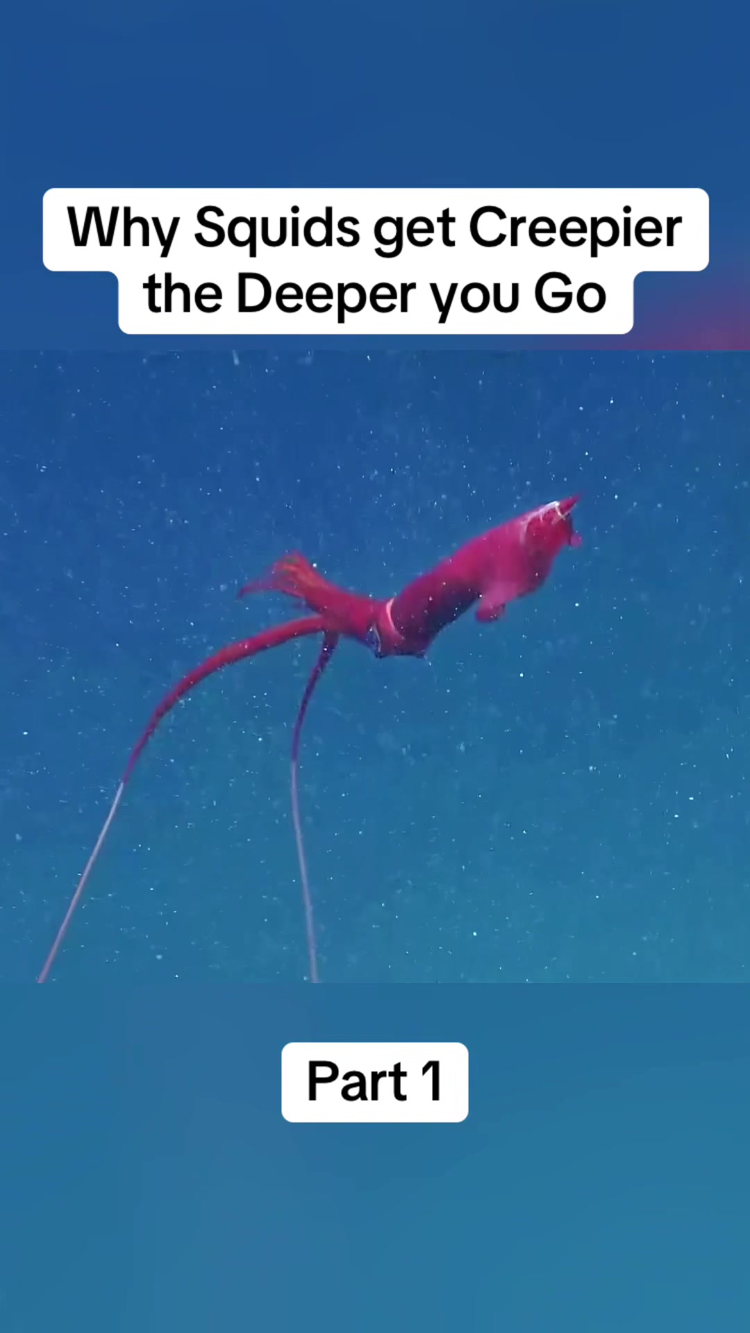 @DonkiGeo
