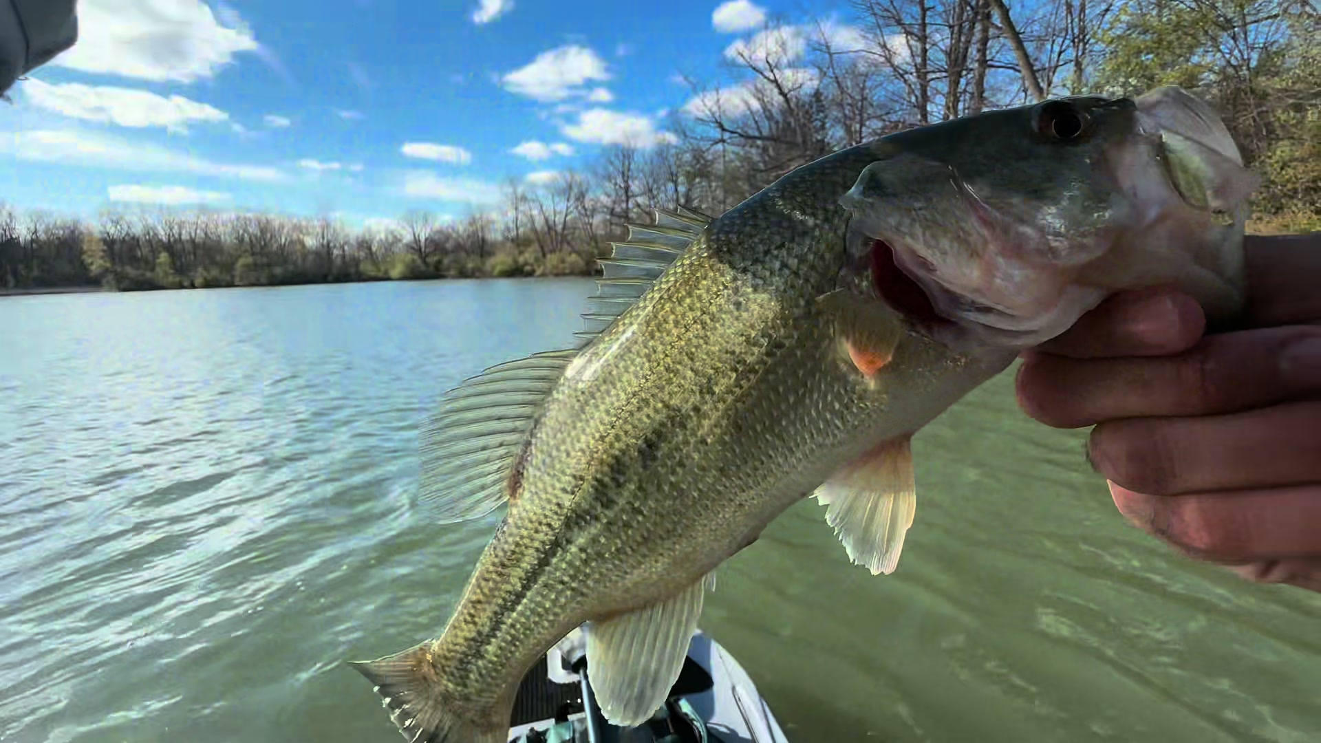 @BigBassFish