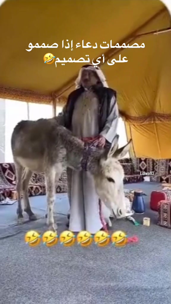 @lolwa83