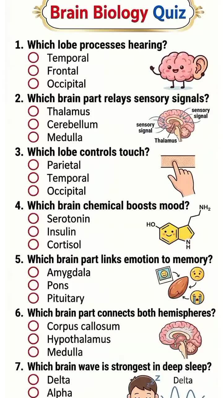 @Daily Quiz
