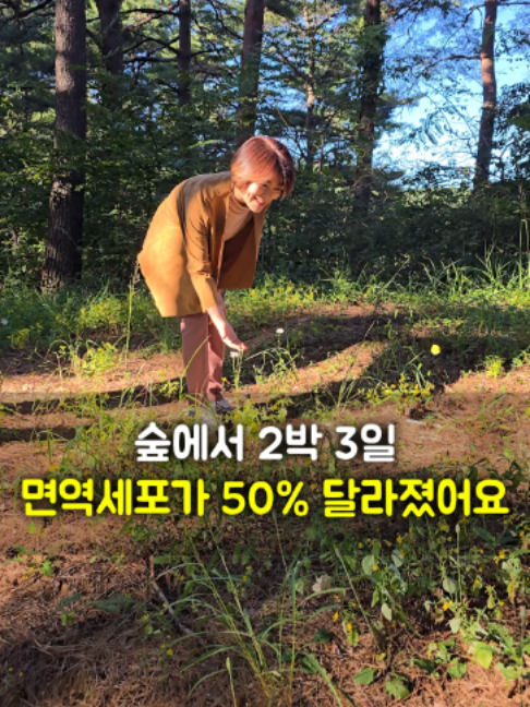 @들꽃잠