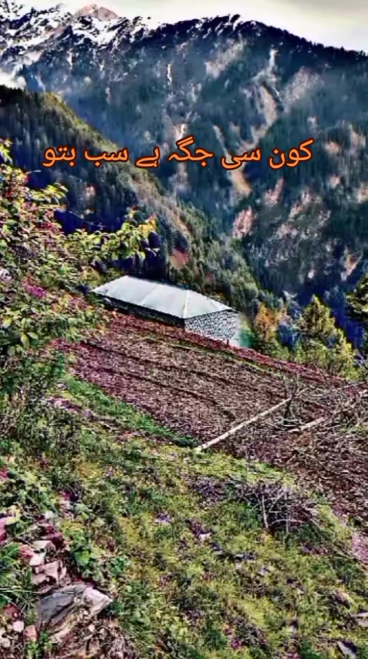 @انجان لڑکی