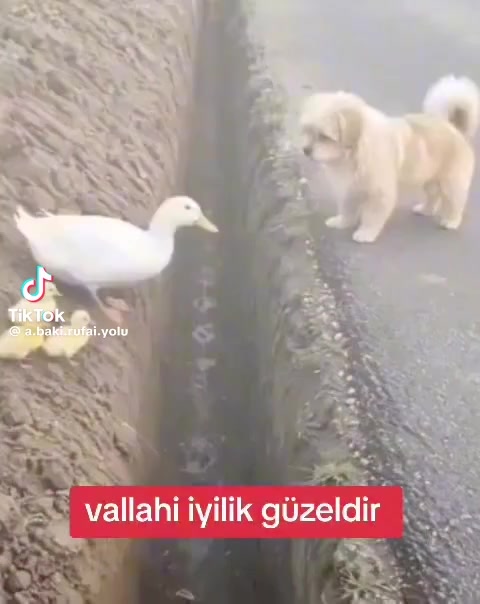 @Eymenim