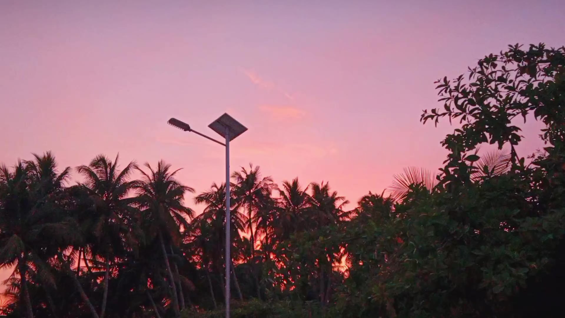 @※ޒއނ※️