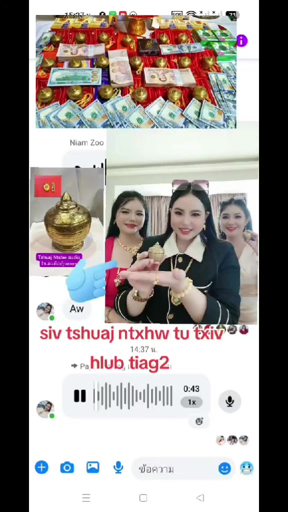 @nkauj see xyooj