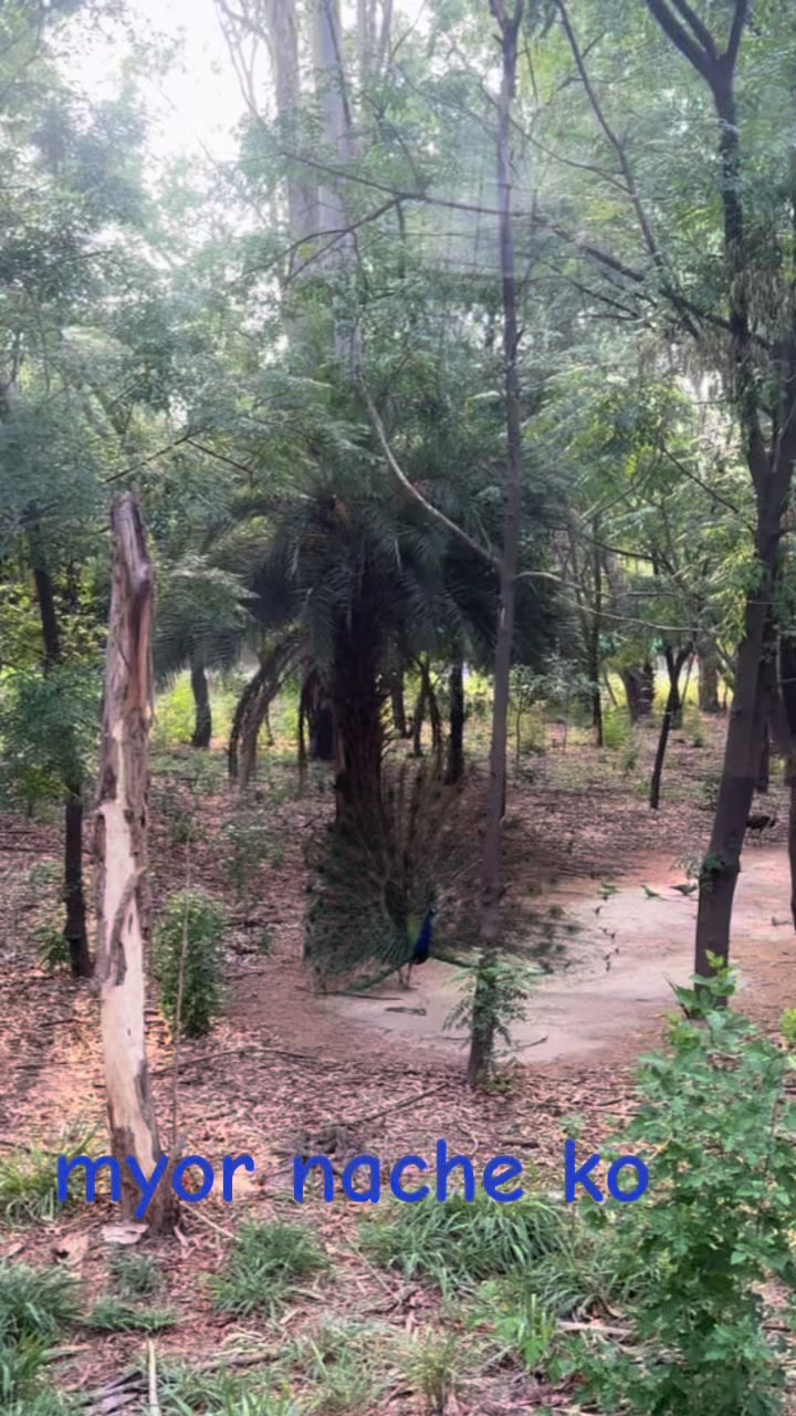 @magarni_durga90