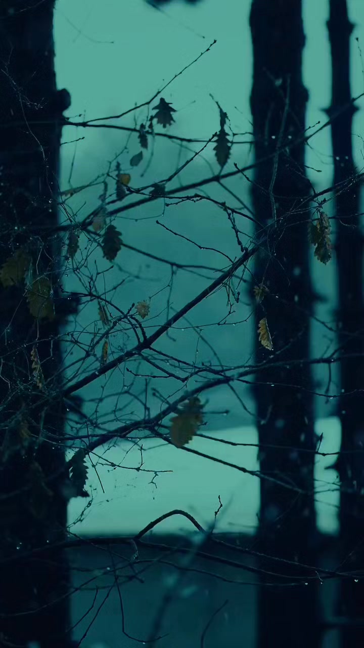 @𐙚˚࿔ 𝐒𝐔𝐍𝐅𝐋𝐎𝐖𝐄𝐑