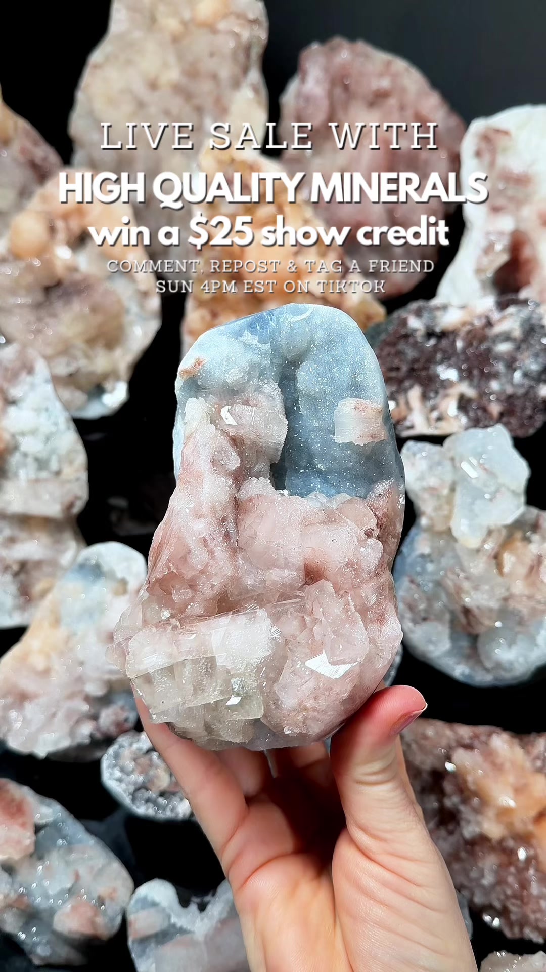 @Crystal Live Emporium✨Natalie