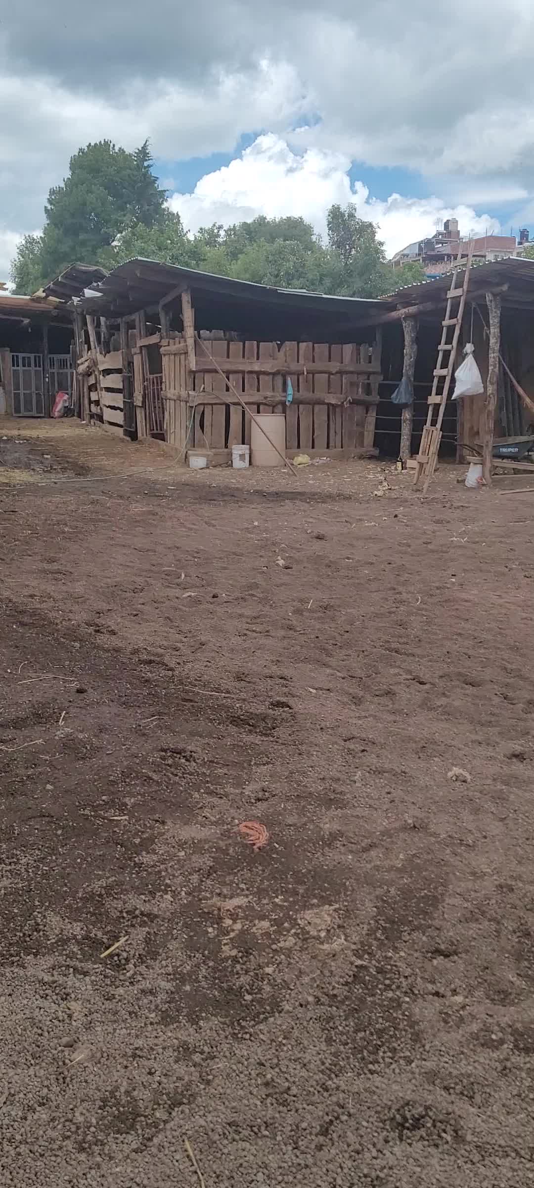 @RANCHOROSAS
