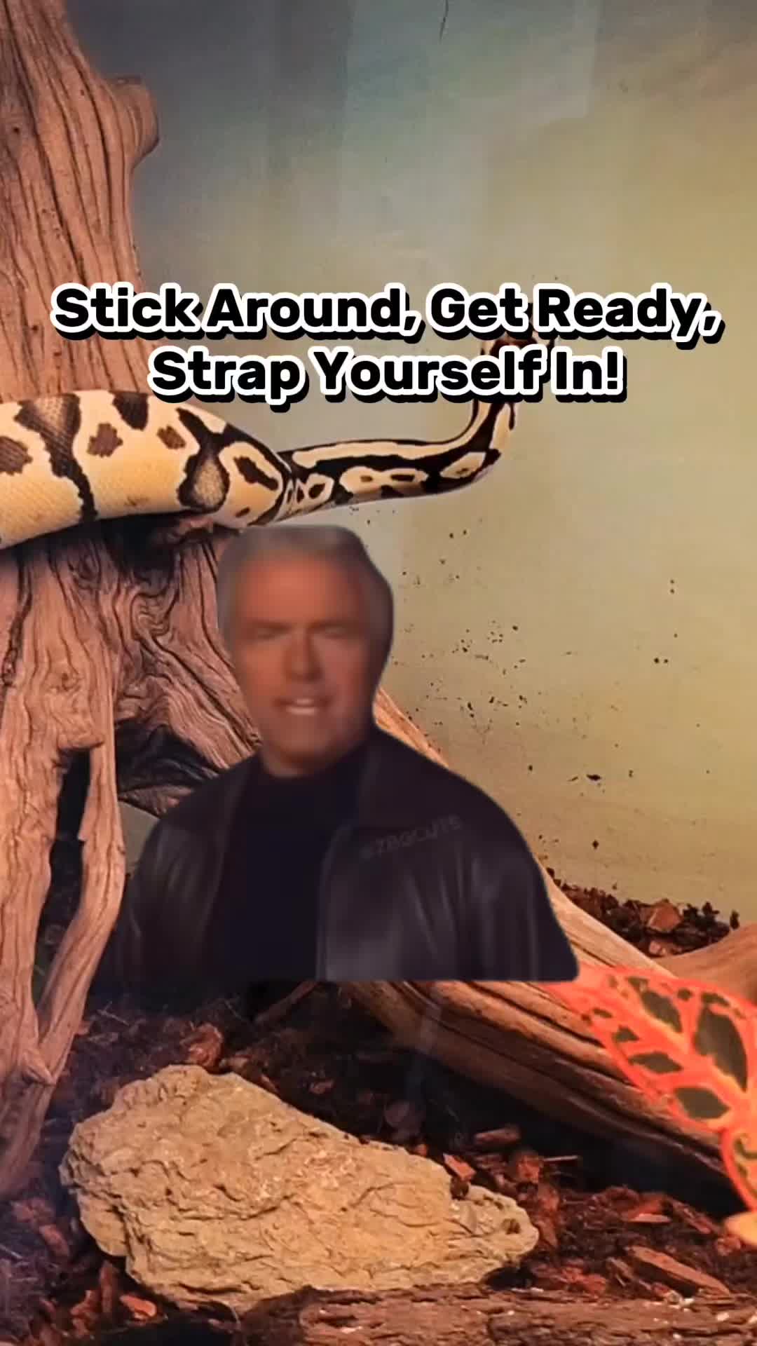 @AJ