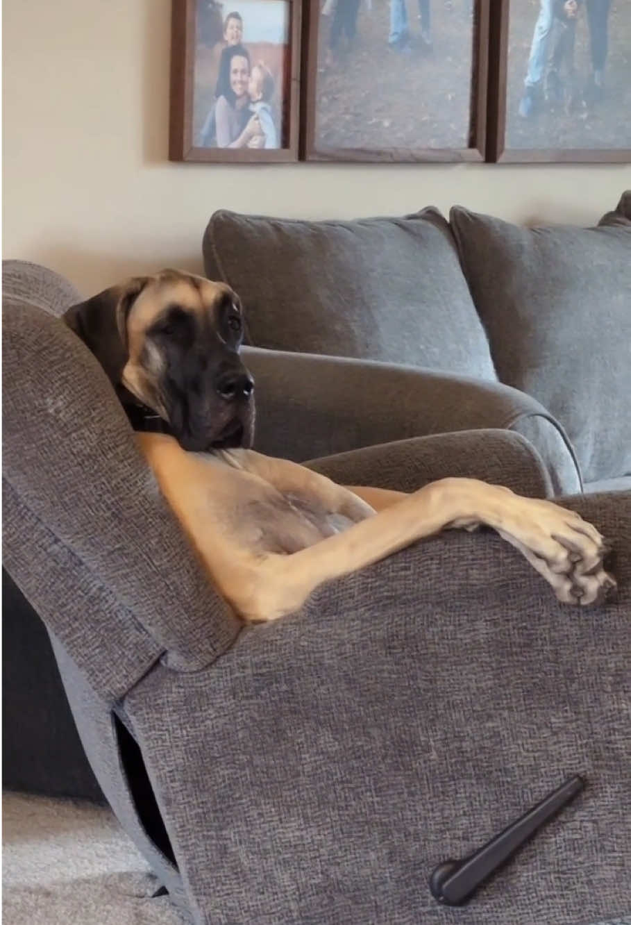 @cute.funny222