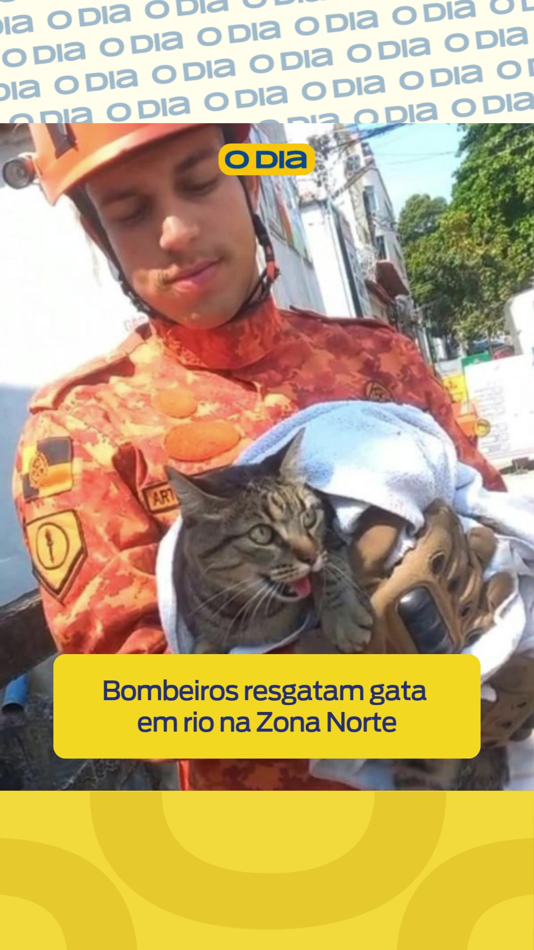 @Jornal O Dia