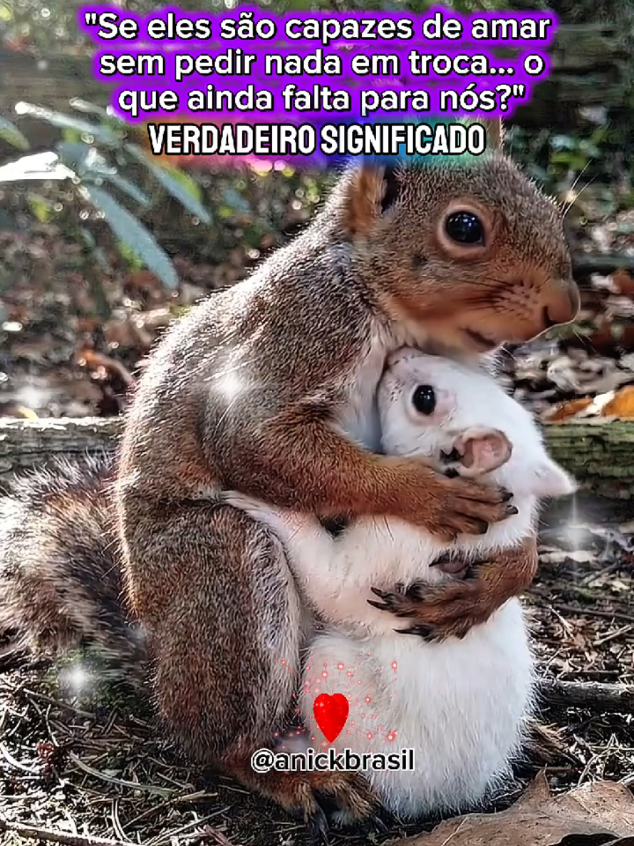 @Anick
