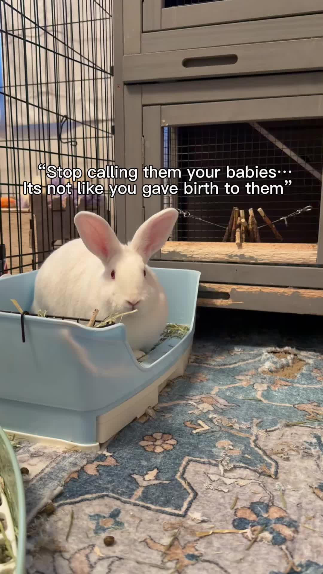 @NOTTURMOM