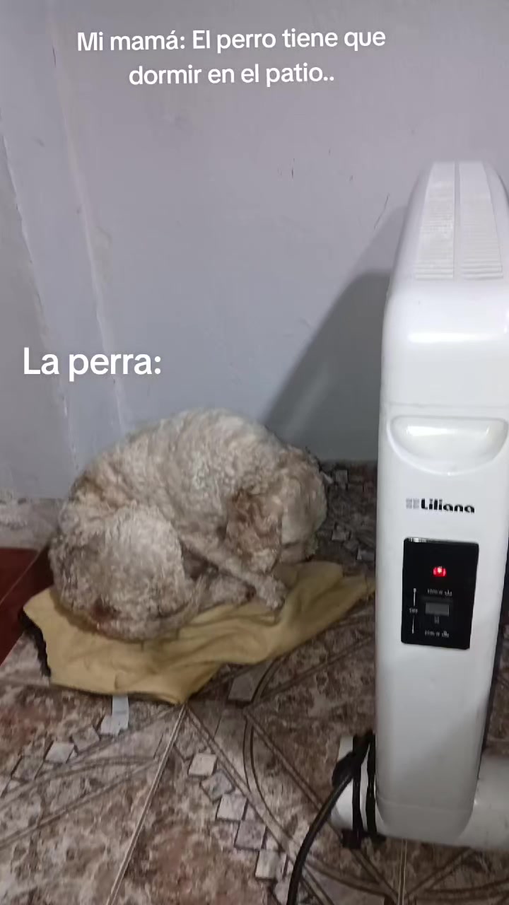 @Pri Bustos