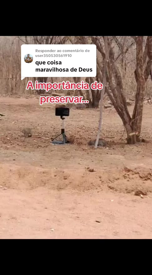 @Amante da natureza