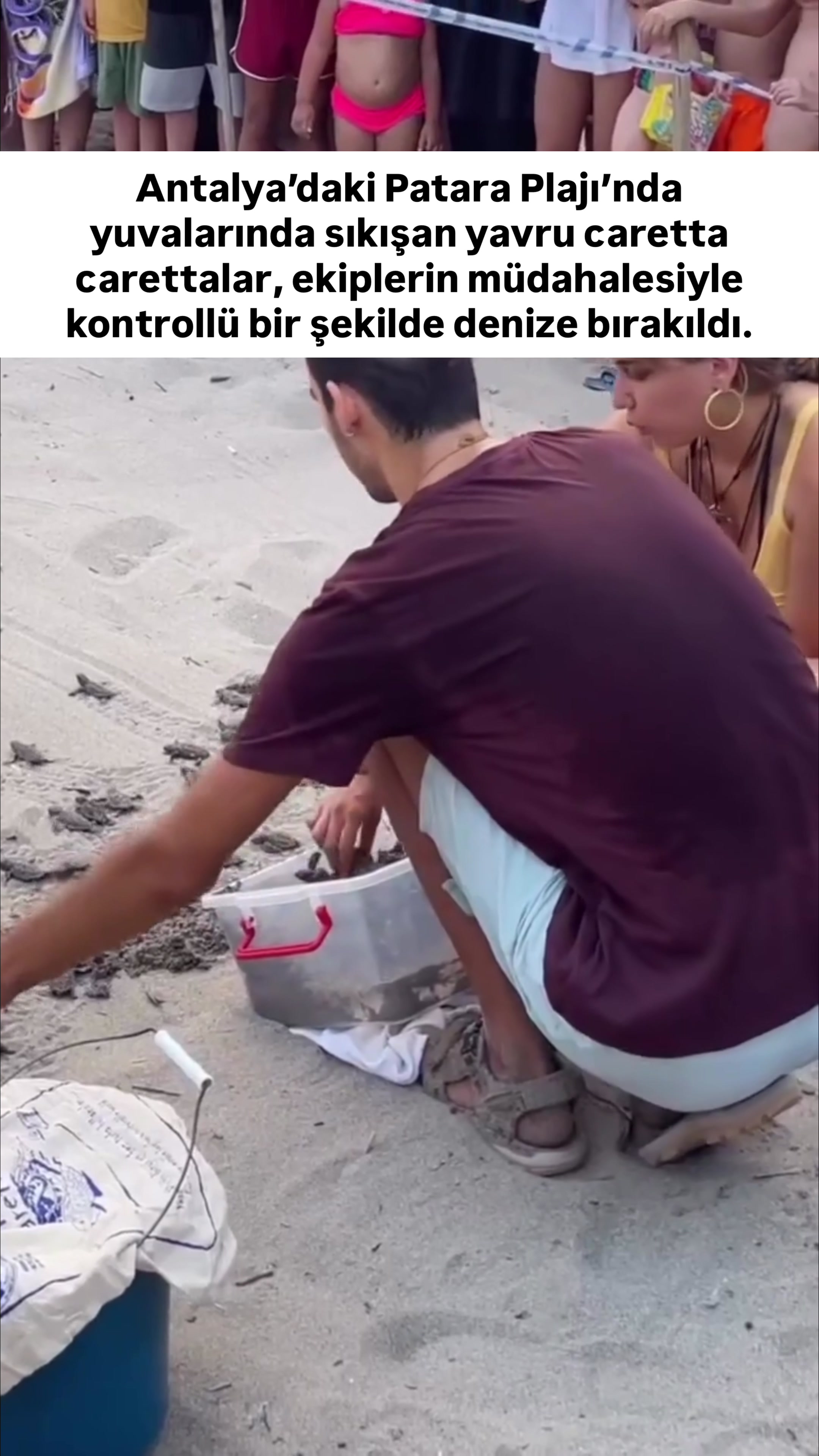 @budabirhaber