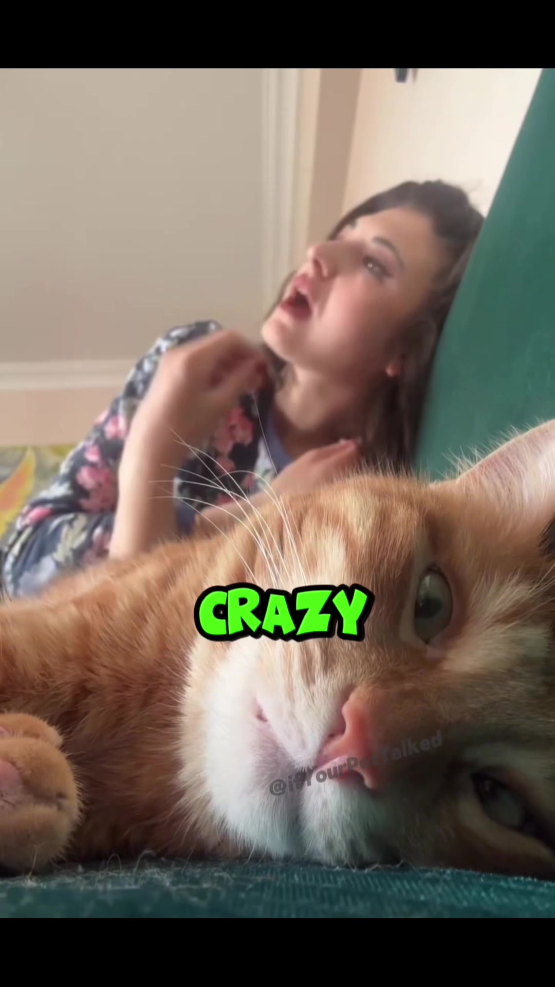 @If Your Pet Talked