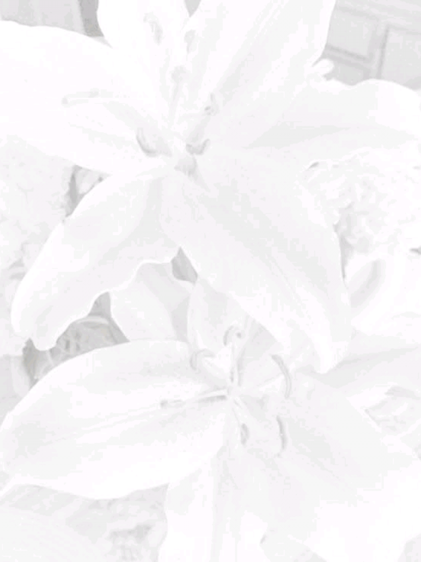 @๏น ๐ฃฒใ๐ผใ๐ฆ๐๐ซ๐ข๐ง โฃ .