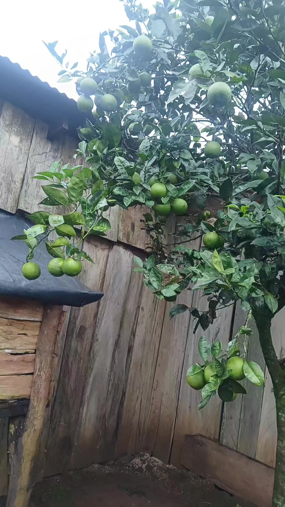 @Nicaragua