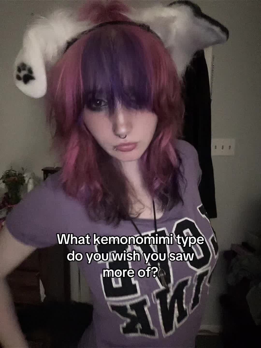 @⋆🐾° ʟᴇᴏɴ >⩊<