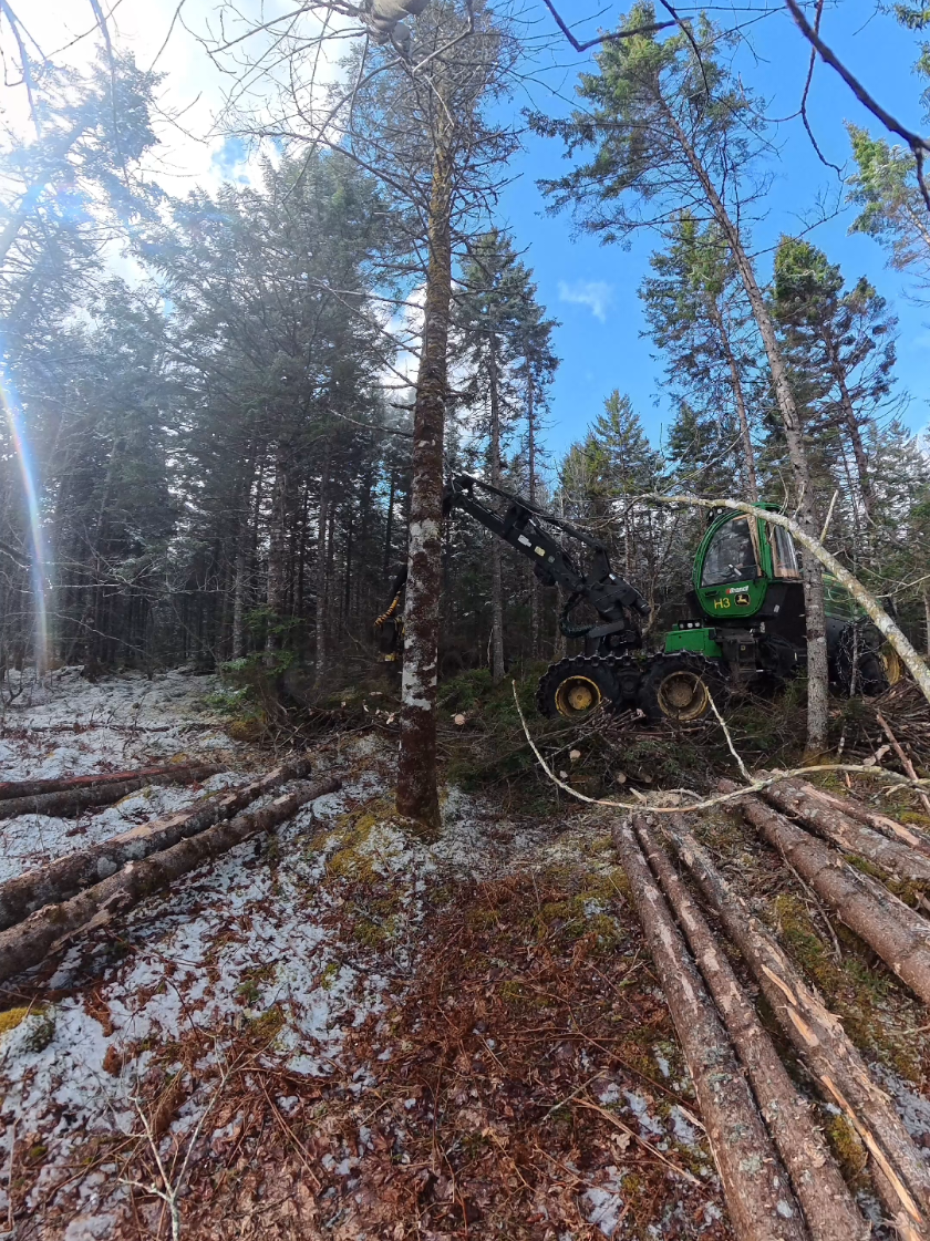 @Nova Scotia Logger