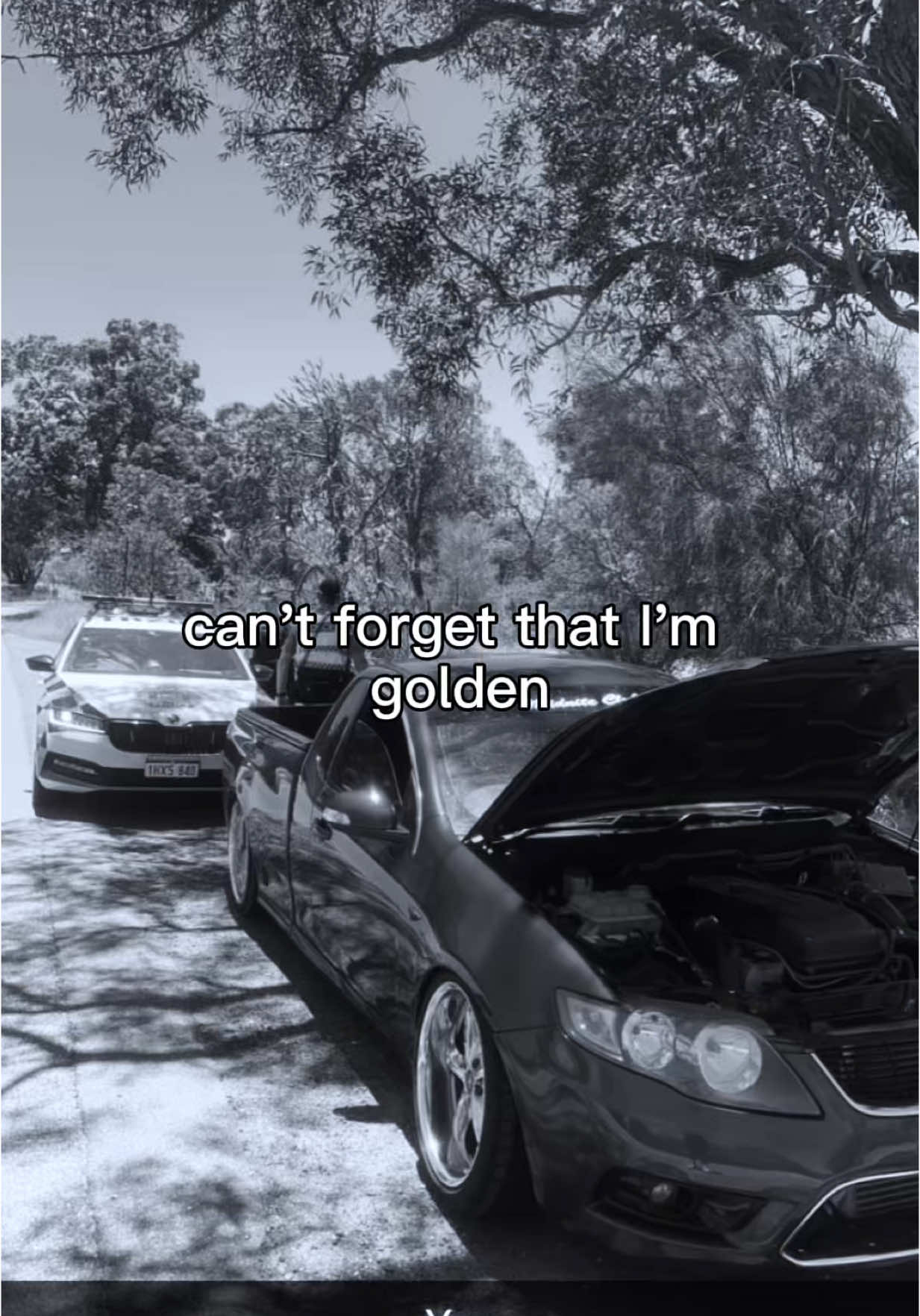 @damon.blacker