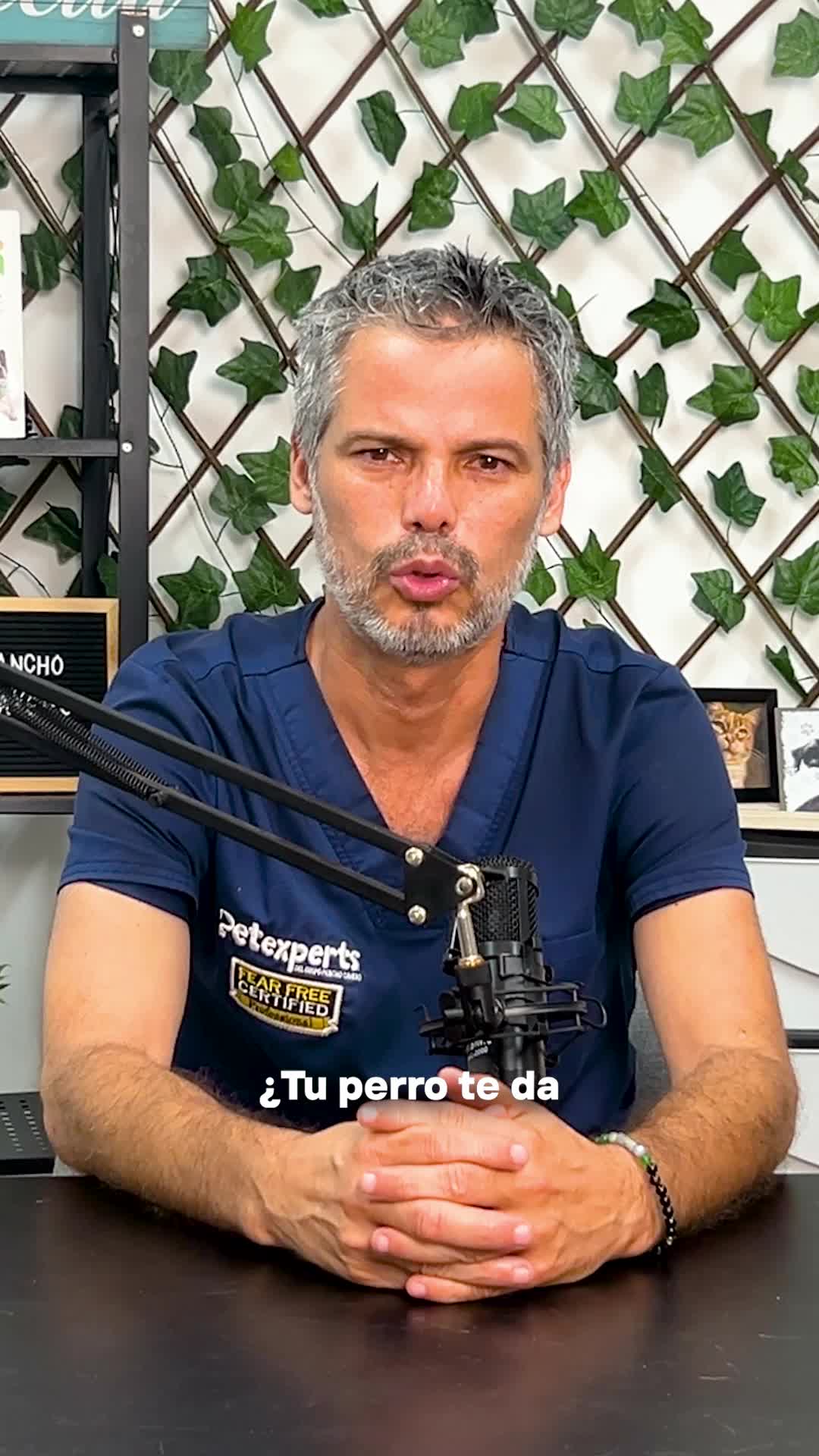 @Pancho Cavero