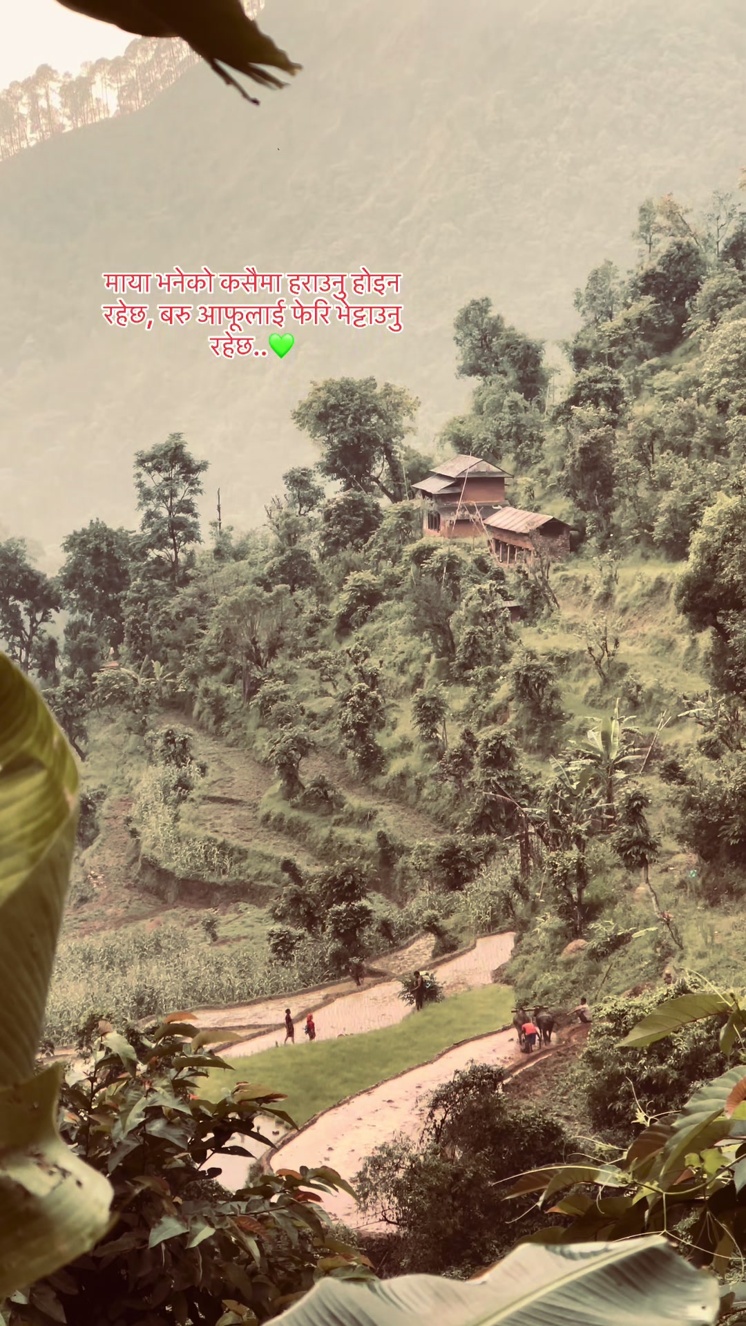 @X-kharel