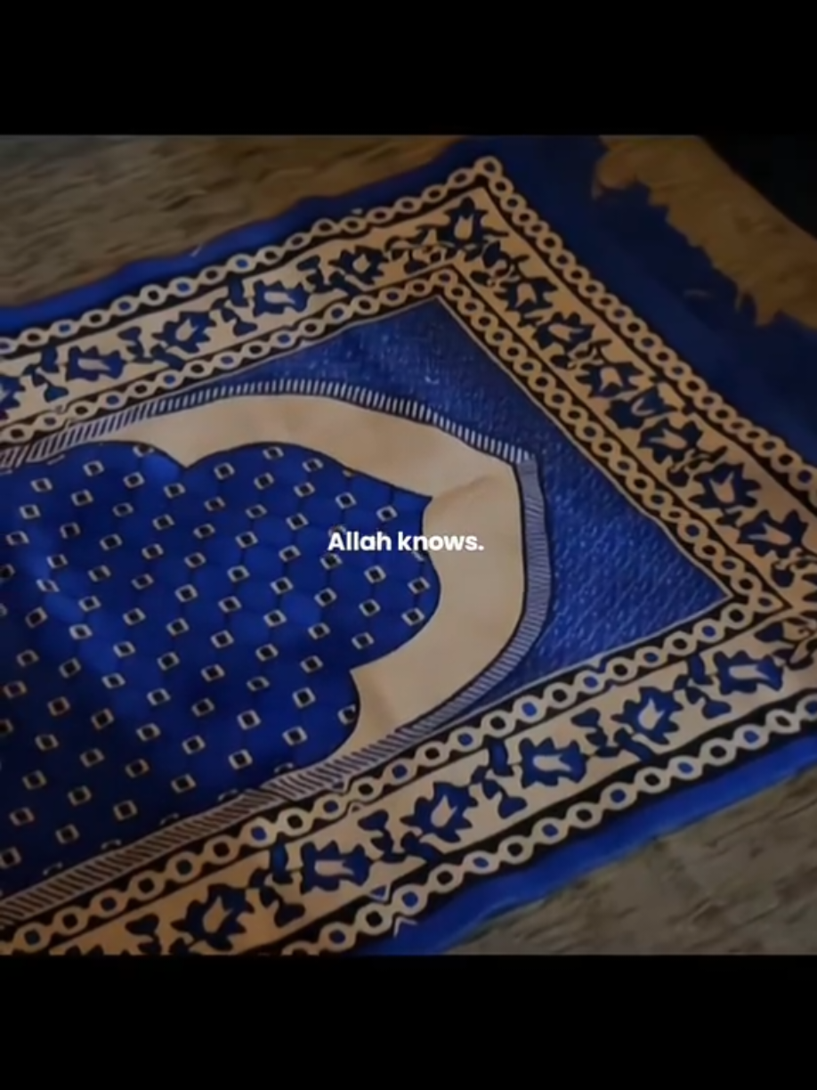 @Halal Mohsin