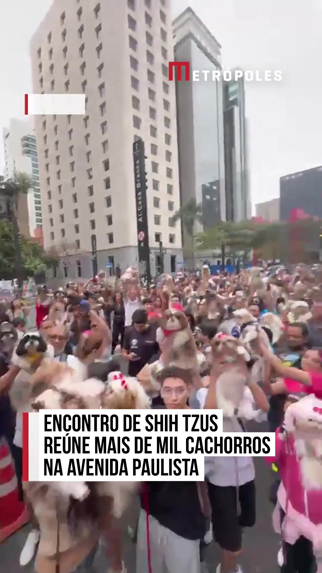 @Metr&oacute;poles Oficial