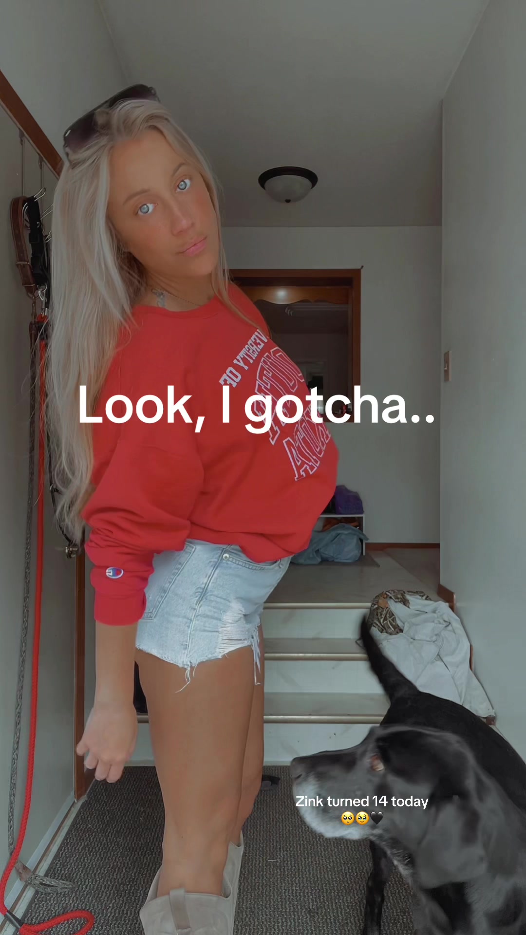 @chessa
