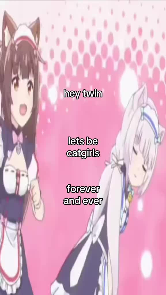 @derp ᛉ