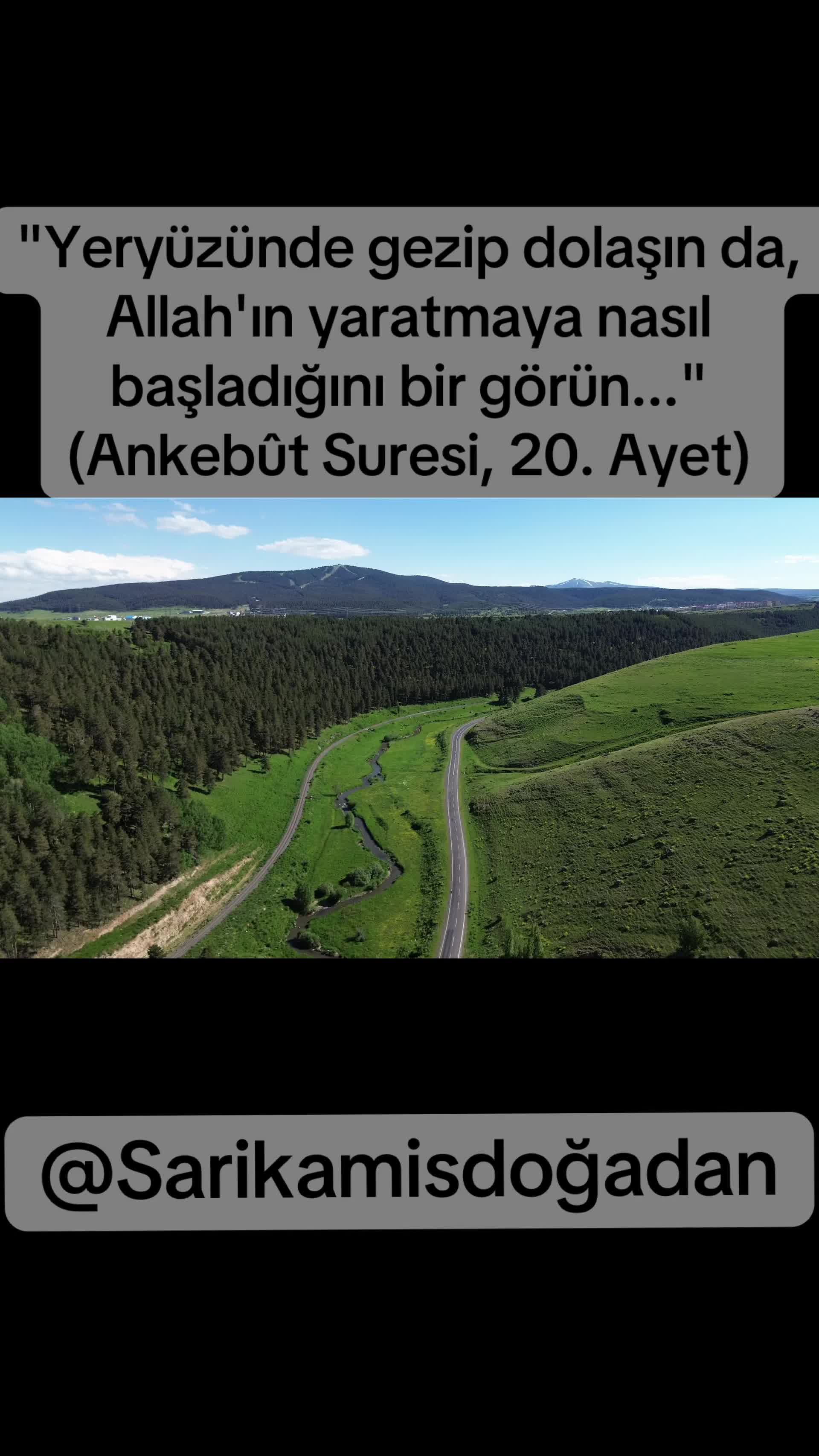 @Şarküteri