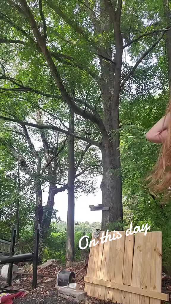 @🧊hvnsbutterfly🧊