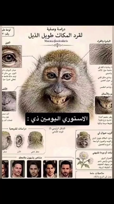 @,َععجزت ,َاتخطاكك ,َ ⁵¹¹⏳4000k