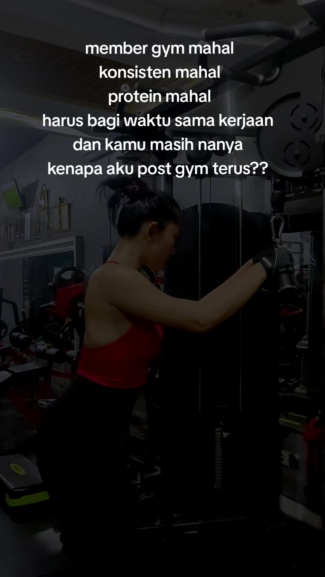 @Fely