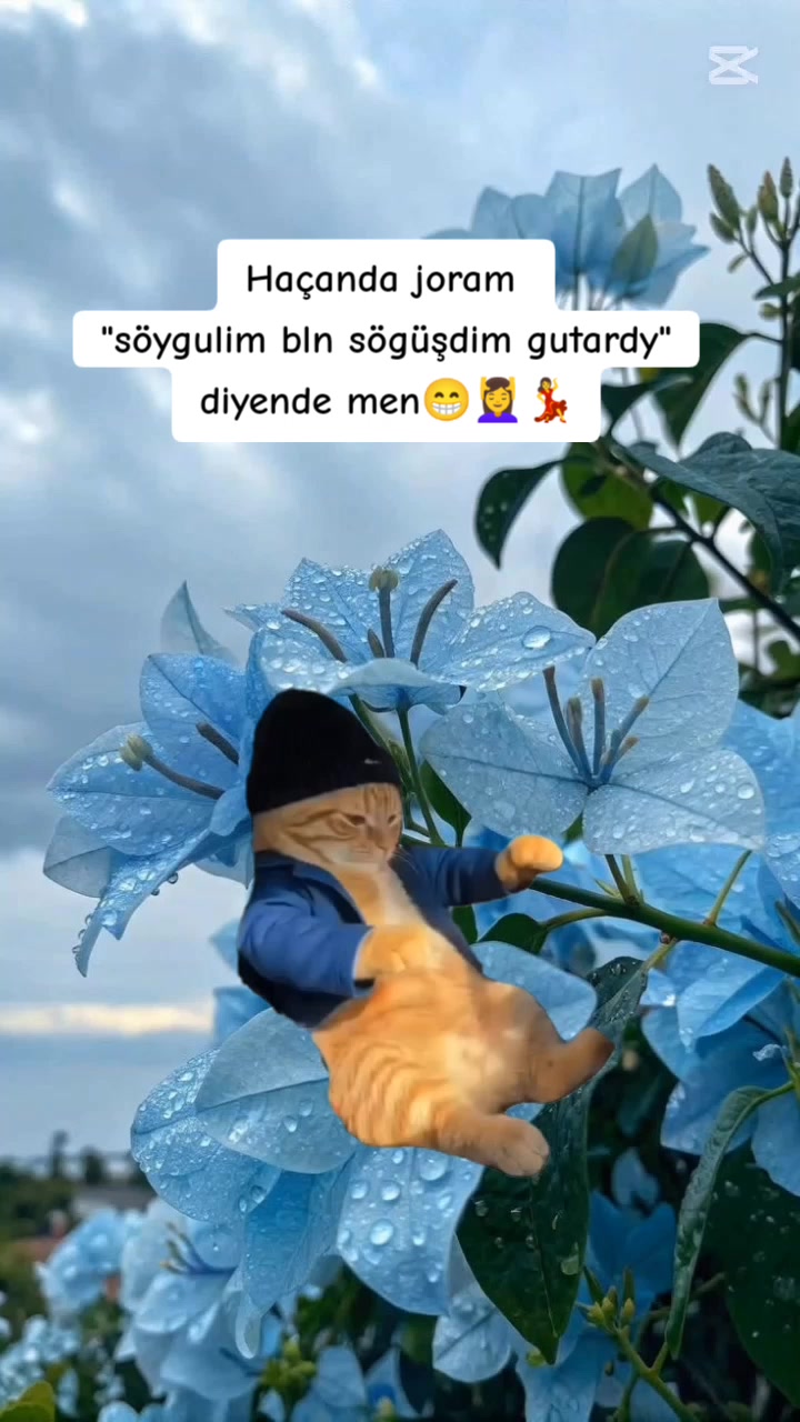 @🌿🌿🌿