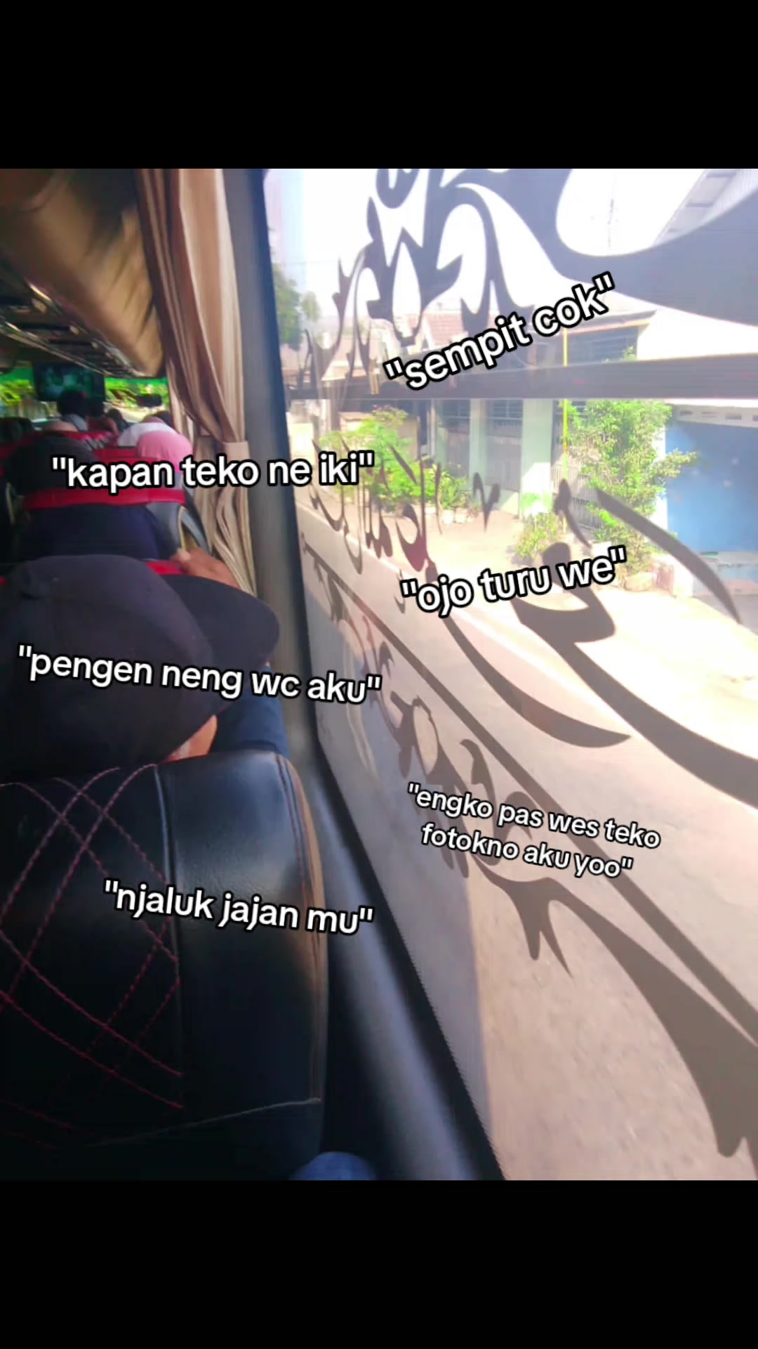 @lxeeee