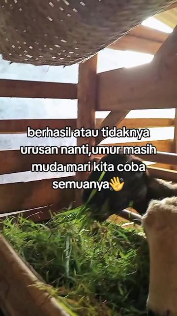 @BUNGSU