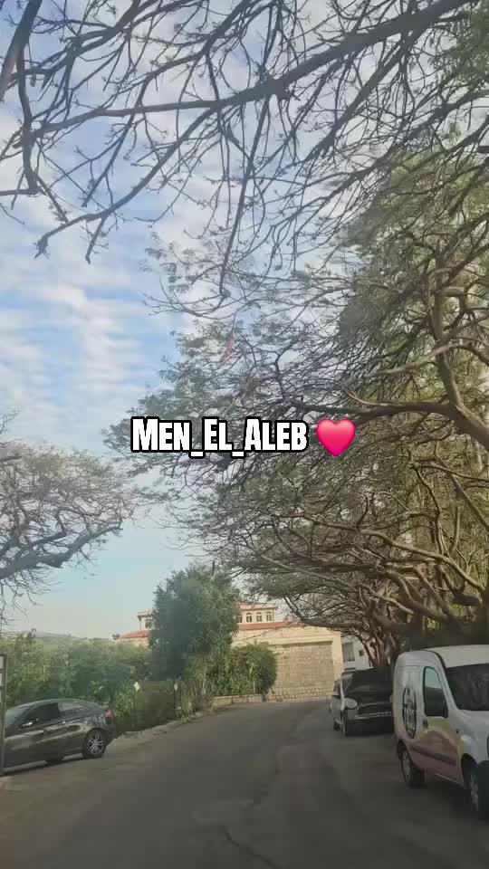 @men__el__aleb