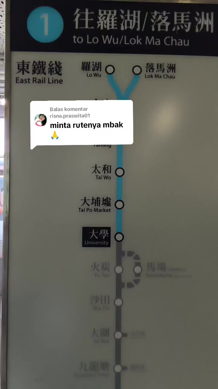 @momo🐈