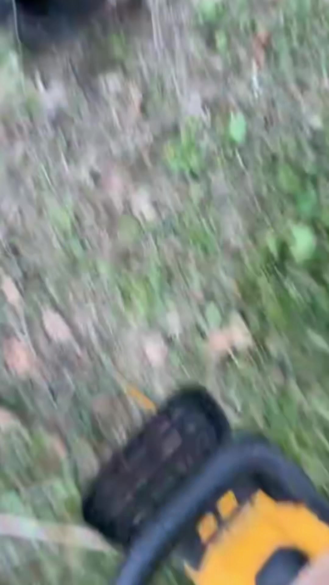 @gaugerockwell