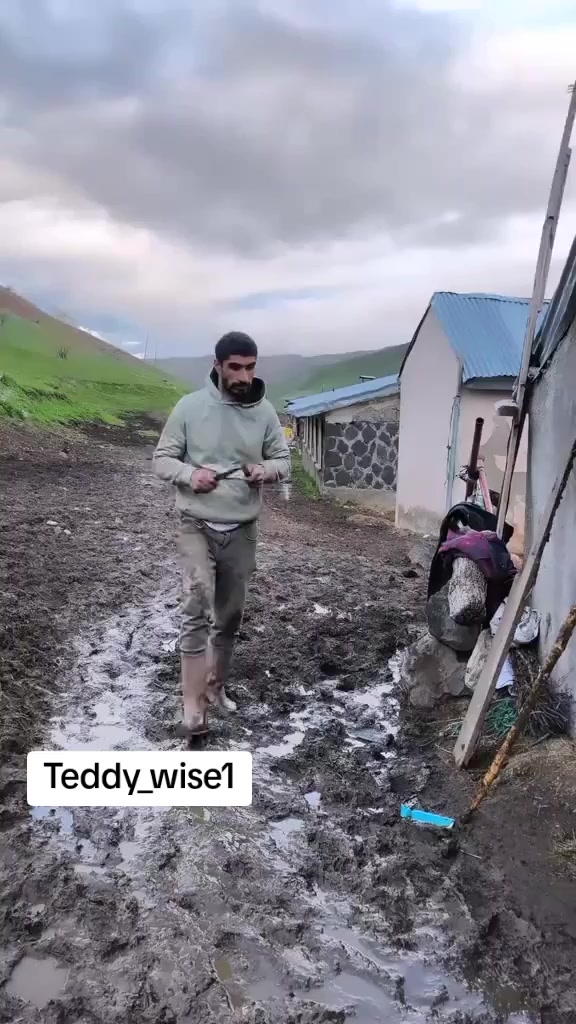 @Teddy_wise1🥰🤣