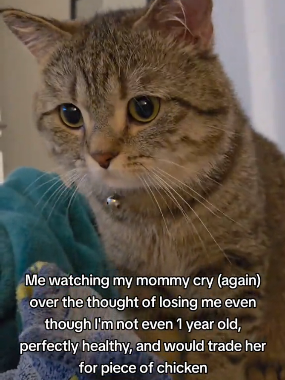 @Luka