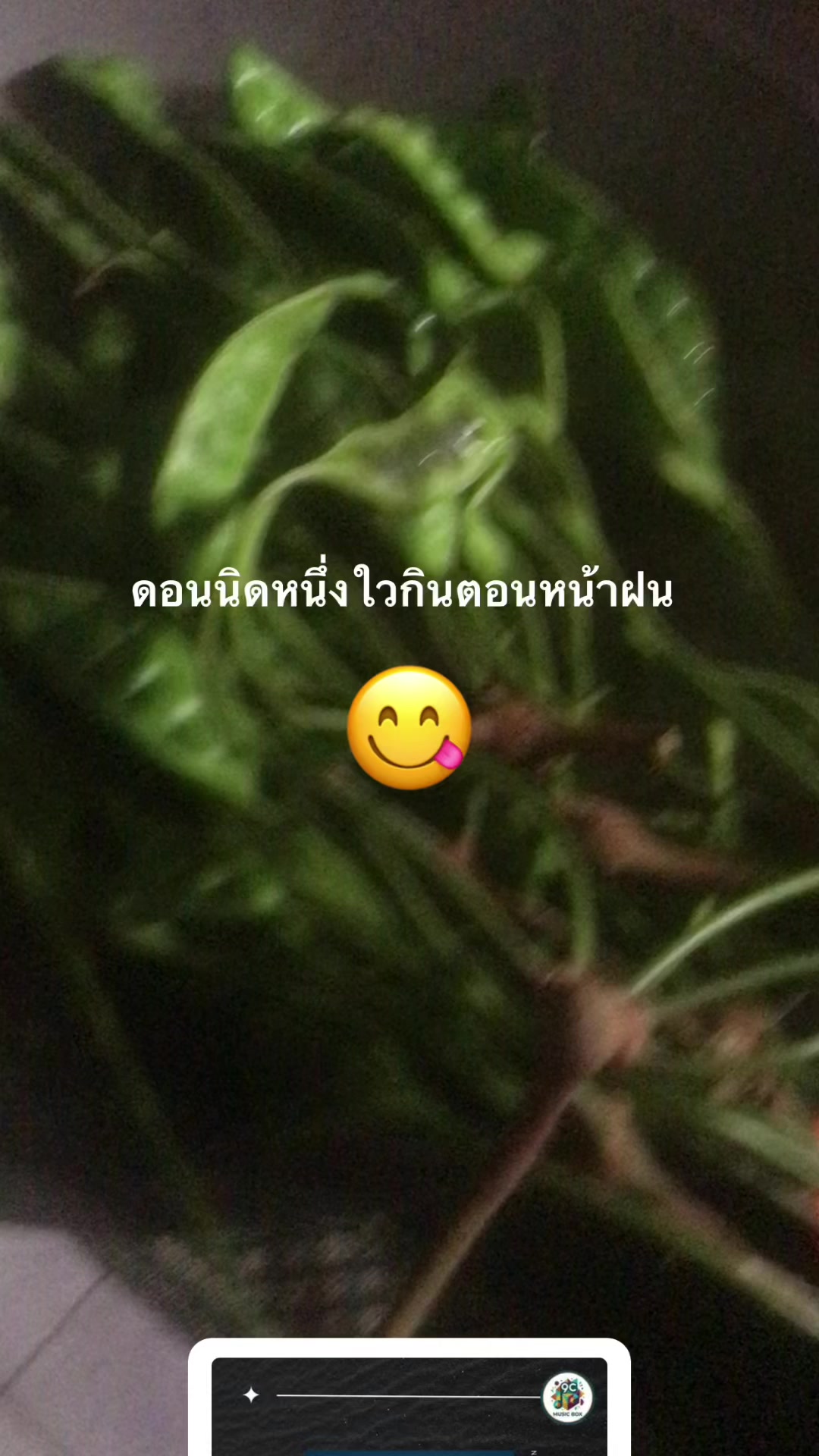 @นูรีซัน นรา