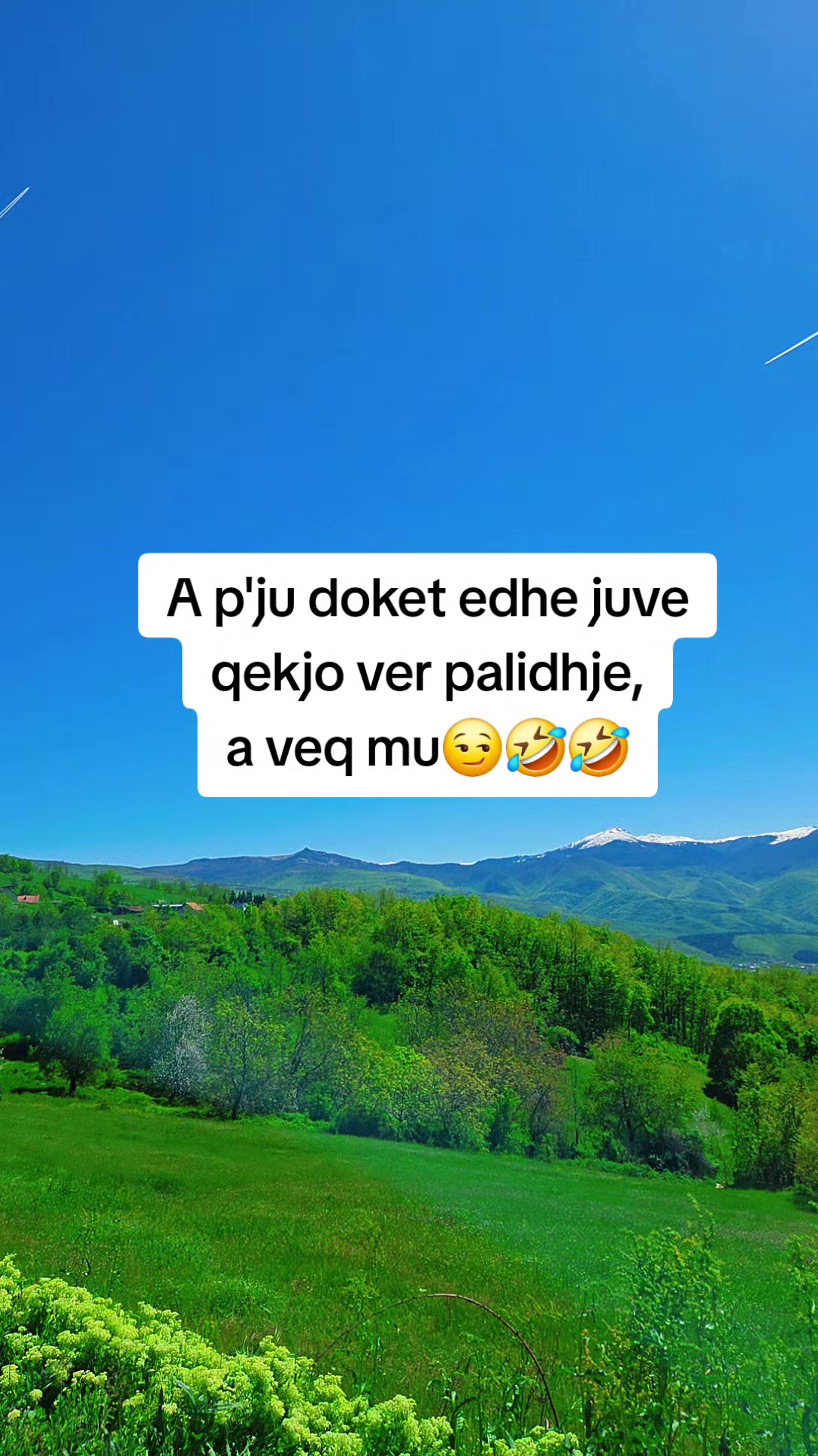 @🦋